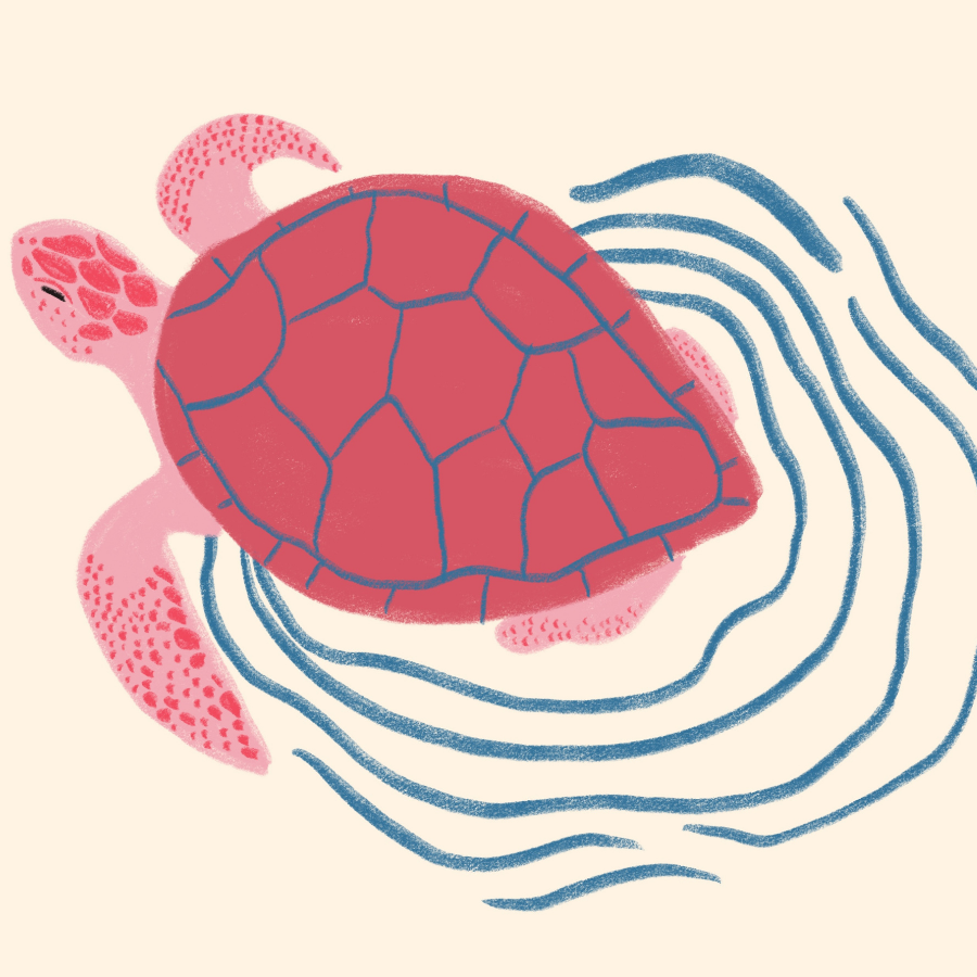 Sea Turtle Print – Pink Coastal Wall Art