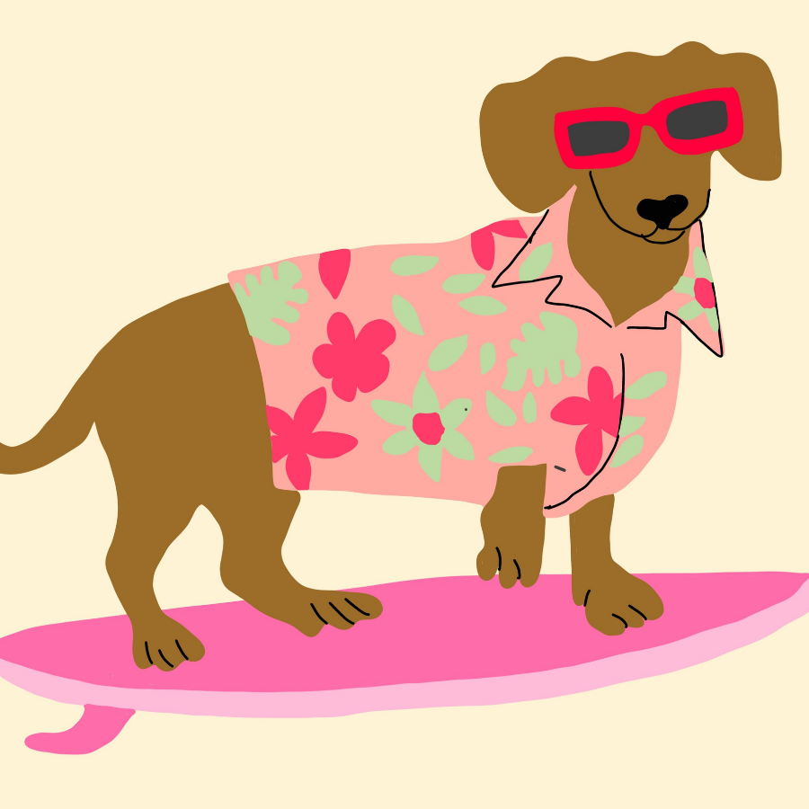 Stampa Surf Dog – Divertente arte murale tropicale