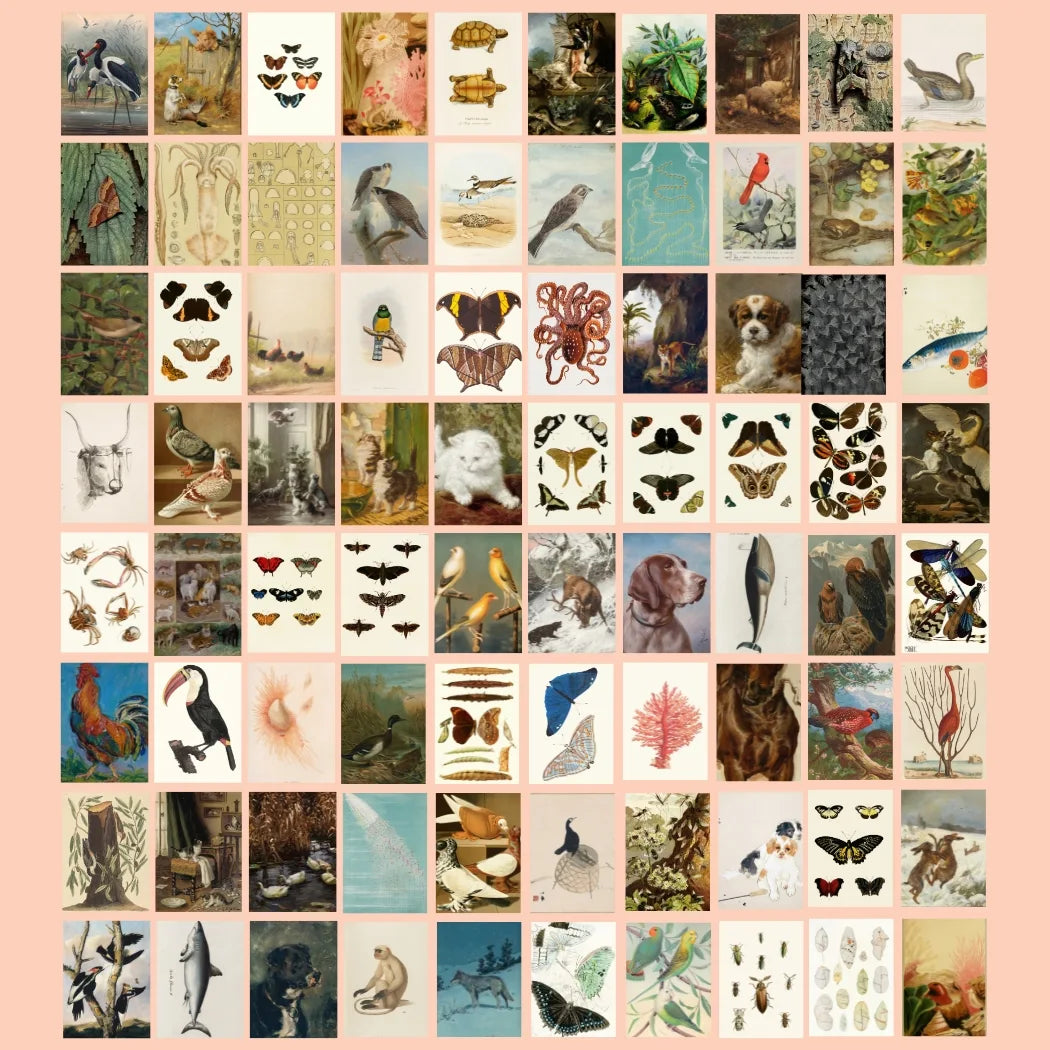 Maximalist Animals, over 430 prints